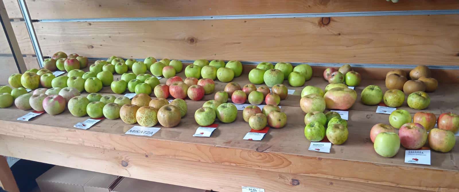 Exposición de manzanas de sidra